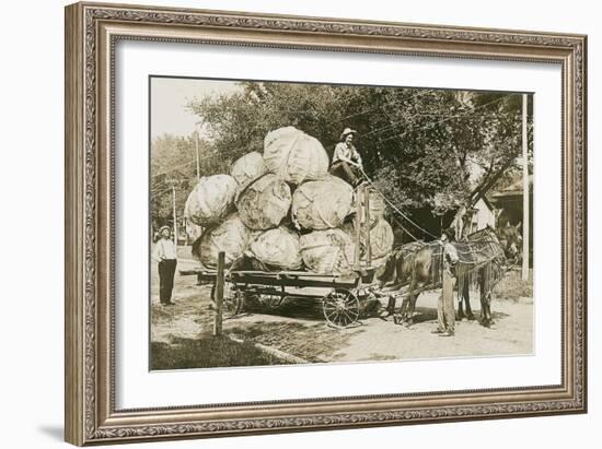 Gigantic Cabbages on Wagon-null-Framed Art Print