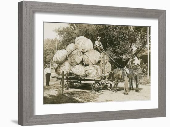 Gigantic Cabbages on Wagon-null-Framed Art Print