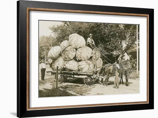 Gigantic Cabbages on Wagon-null-Framed Art Print