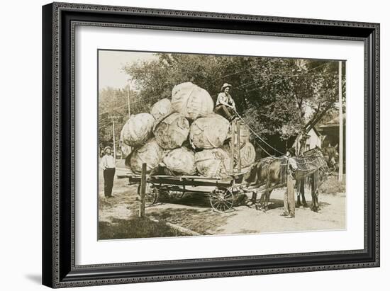 Gigantic Cabbages on Wagon-null-Framed Art Print