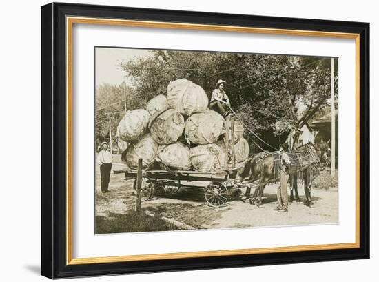 Gigantic Cabbages on Wagon-null-Framed Art Print