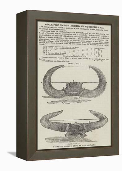 Gigantic Horns Found in Cumberland-null-Framed Premier Image Canvas