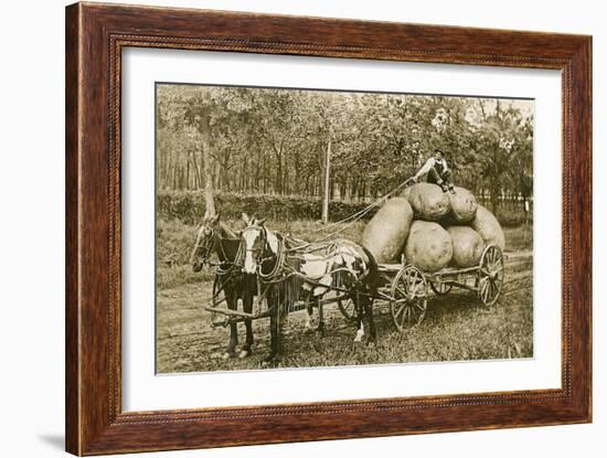 Gigantic Potatoes on Wagon-null-Framed Art Print