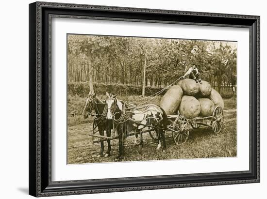 Gigantic Potatoes on Wagon-null-Framed Art Print