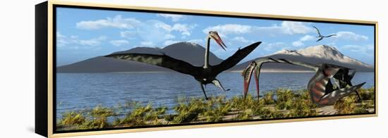 Gigantic Quetzalcoatlus Pterosaurs-null-Framed Stretched Canvas