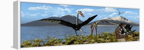 Gigantic Quetzalcoatlus Pterosaurs-null-Framed Stretched Canvas