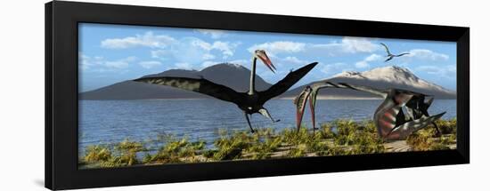 Gigantic Quetzalcoatlus Pterosaurs-null-Framed Art Print