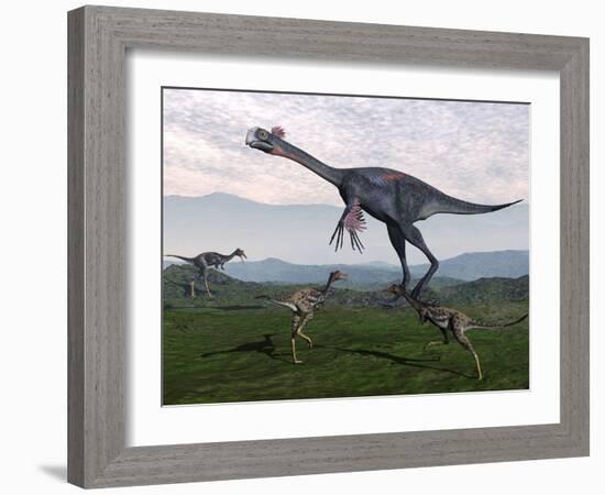 Gigantoraptor Surrounded by Small Mononykus Dinosaurs-Stocktrek Images-Framed Art Print