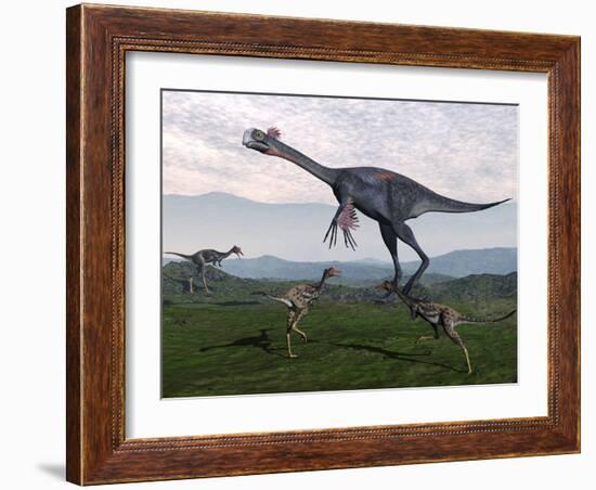 Gigantoraptor Surrounded by Small Mononykus Dinosaurs-Stocktrek Images-Framed Art Print