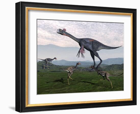 Gigantoraptor Surrounded by Small Mononykus Dinosaurs-Stocktrek Images-Framed Art Print