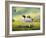 Gigaopia-Lynne Davies-Framed Photographic Print