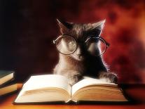 Gray Cat With Glasses Reading A Book-gila-Photographic Print