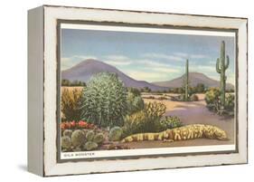Gila Monster and Cacti-null-Framed Stretched Canvas