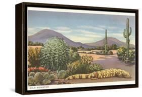 Gila Monster and Cacti-null-Framed Stretched Canvas