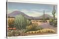 Stretched Canvas Print