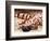 Gila Monster, Native to Southwestern USA-David Northcott-Framed Photographic Print