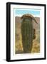 Gila Monsters on Barrel Cactus-null-Framed Art Print