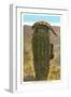 Gila Monsters on Barrel Cactus-null-Framed Art Print