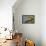 Gila woodpecker feeding on Saguaro blossom nectar, Arizona-John Cancalosi-Framed Premier Image Canvas displayed on a wall