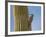 Gila Woodpecker on Saguaro, Saguaro National Park, Arizona, Usa-Michel Hersen-Framed Photographic Print