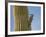 Gila Woodpecker on Saguaro, Saguaro National Park, Arizona, Usa-Michel Hersen-Framed Photographic Print