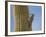 Gila Woodpecker on Saguaro, Saguaro National Park, Arizona, Usa-Michel Hersen-Framed Photographic Print