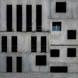 Isolation Cell-Gilbert Claes-Photographic Print