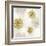 Gilded Aesthetic Flowers-Bella Dos Santos-Framed Art Print