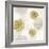 Gilded Aesthetic Flowers-Bella Dos Santos-Framed Art Print