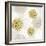 Gilded Aesthetic Flowers-Bella Dos Santos-Framed Art Print