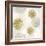 Gilded Aesthetic Flowers-Bella Dos Santos-Framed Art Print