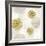 Gilded Aesthetic Flowers-Bella Dos Santos-Framed Art Print