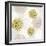 Gilded Aesthetic Flowers-Bella Dos Santos-Framed Art Print