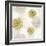 Gilded Aesthetic Flowers-Bella Dos Santos-Framed Art Print