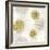 Gilded Aesthetic Flowers-Bella Dos Santos-Framed Art Print