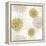 Gilded Aesthetic Flowers-Bella Dos Santos-Framed Stretched Canvas