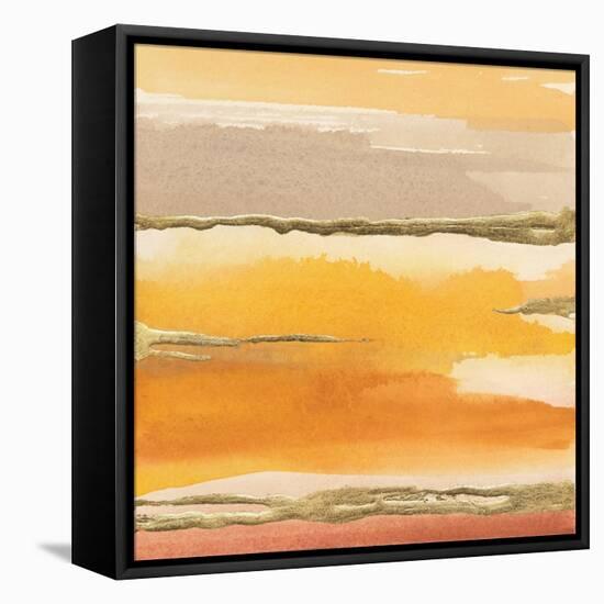 Gilded Amber II-Chris Paschke-Framed Stretched Canvas