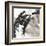 Gilded Arcs II-Chris Paschke-Framed Art Print