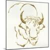 Gilded Bison-Chris Paschke-Mounted Art Print