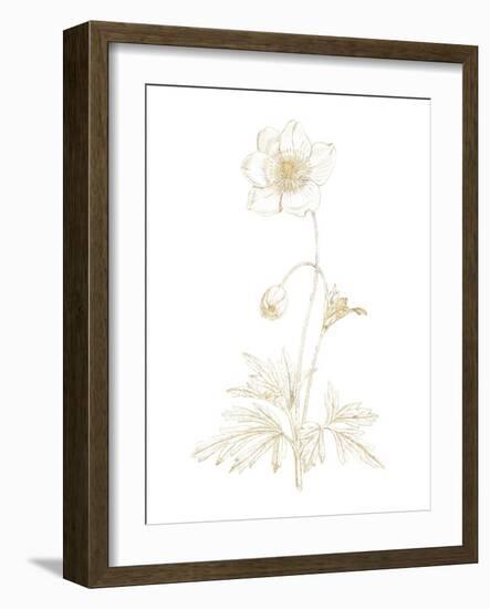 Gilded Botanical II-Wild Apple Portfolio-Framed Art Print