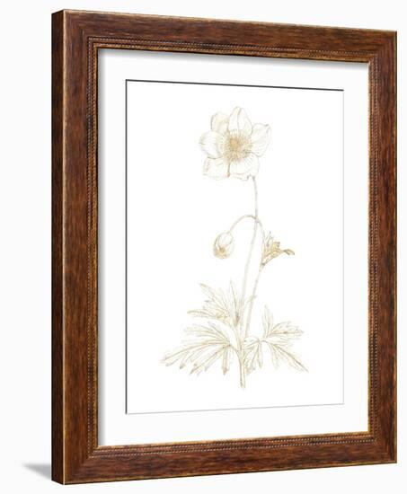 Gilded Botanical II-Wild Apple Portfolio-Framed Art Print