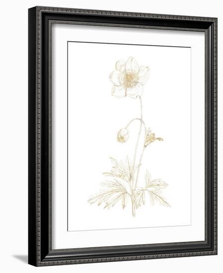 Gilded Botanical II-Wild Apple Portfolio-Framed Art Print