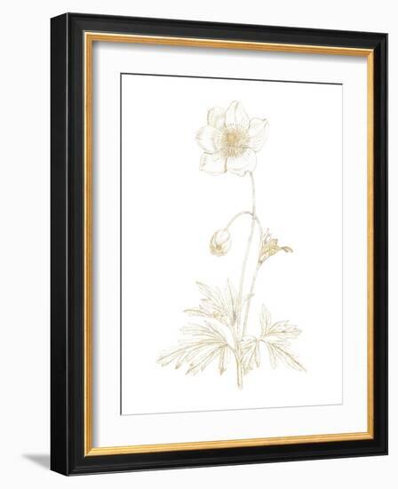 Gilded Botanical II-Wild Apple Portfolio-Framed Art Print