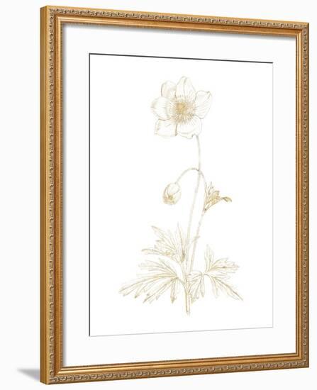 Gilded Botanical II-Wild Apple Portfolio-Framed Art Print