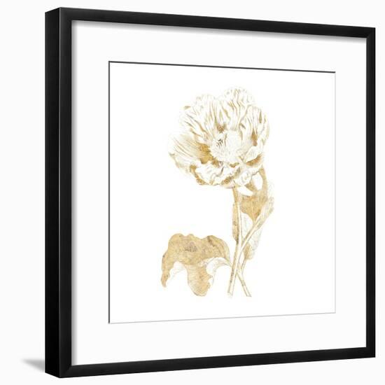 Gilded Botanical VII Sq-Wild Apple Portfolio-Framed Art Print