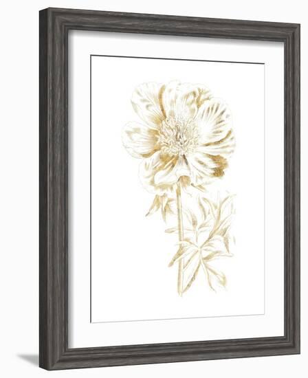 Gilded Botanical VIII-Wild Apple Portfolio-Framed Art Print