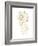 Gilded Botanical VIII-Wild Apple Portfolio-Framed Art Print