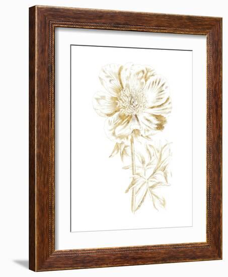 Gilded Botanical VIII-Wild Apple Portfolio-Framed Art Print