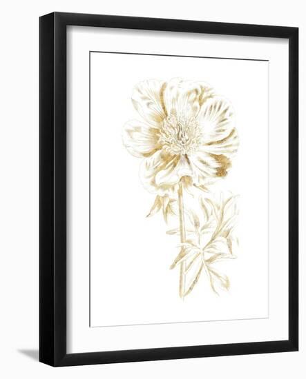 Gilded Botanical VIII-Wild Apple Portfolio-Framed Art Print