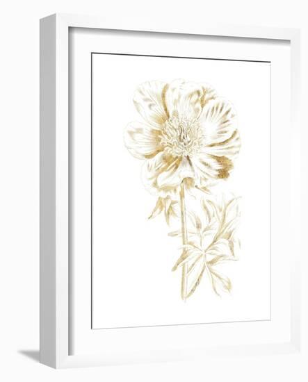 Gilded Botanical VIII-Wild Apple Portfolio-Framed Art Print